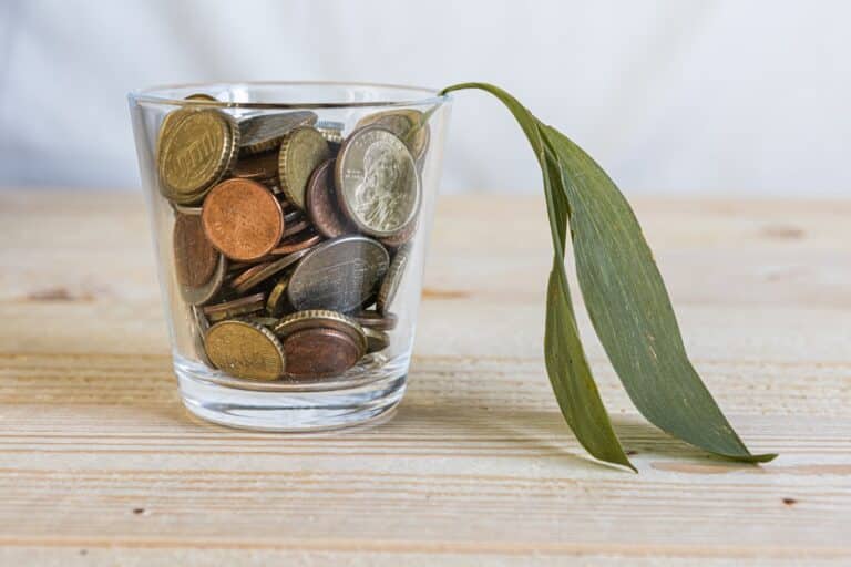 sustainable retirement savings plan