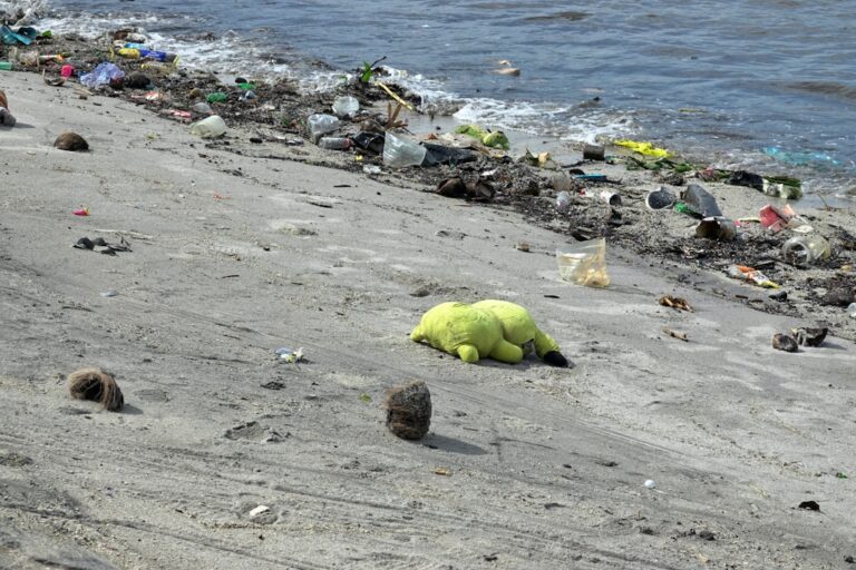 plastic pollution budget fix