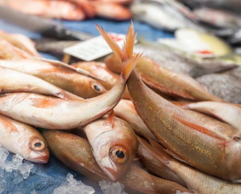 sustainable seafood buying guide