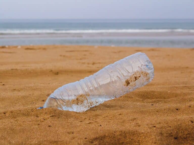eliminate single use plastic